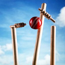 Cricket 1 Cricket 1