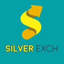 Silver 1